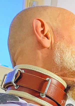 Xtudr - bondageslave54: I'm a mature submissive male, shaved head, gray beard, fat, domestic, bondage enthusiast and foot worshiper for Dom,...