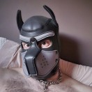 Xtudr - Wolfy: Learning to serve. F...