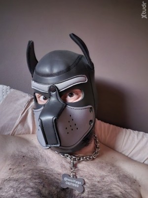 Xtudr - Wolfy: Aprendiendo a servir y obedecer.