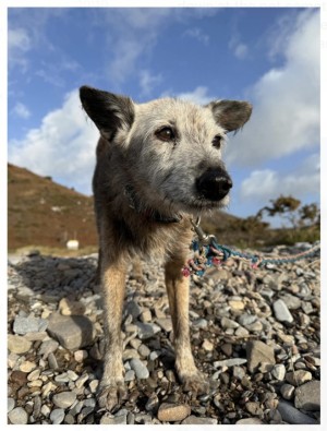 Xtudr - ffozzy: 6’2” no oil painting at 65yo what would you expect, a caring bloke, I suppose straight acting? I enjoy all sex, I live on a ...