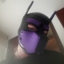 Xtudr - Toy_pup: I'm an abandoned l...