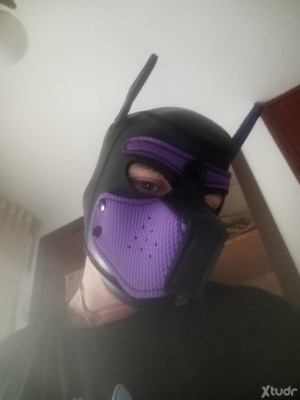 Xtudr - Toy_pup: Un perrete que le gusta salir de caza... Lanzame la pelota que te la traeré con otro regalito 🐕🐕