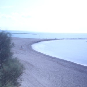 Xtudr - Cerdakoloresudaparia: 