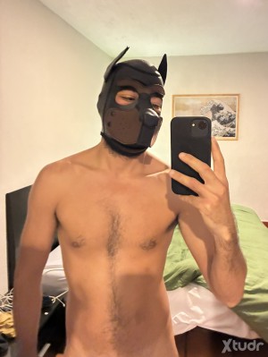 Xtudr - cachorrogdl: 