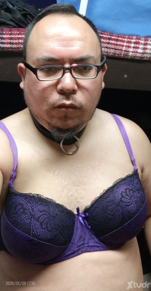Xtudr - sissydaniela: Thinking that my father, a family member or a friend would see that I'm actually a faggot who uses lingerie, heels and...