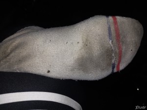 Xtudr - Danizapero: Bisexual very pig fetishist to the top of the feet, socks, stockings, super sweaty, super stinky... Very pig of the smel...