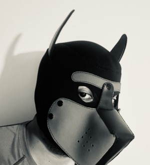 Xtudr - Glorybuca: Telegram: glorybuca1
Busco:
- Primera opción: Un amo que me enseñe la obediencia, adoración y pasión por estar únicamente...