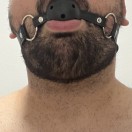 Xtudr - Rafbear: 