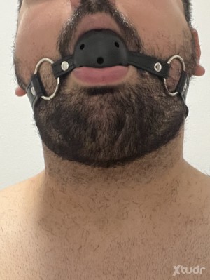 Xtudr - Rafbear: 
