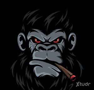 Xtudr - Swizzle: Me gusta el deporte
Me gusta el abrazo
Soy amigo del 420
Tengo un fetiche por los pies