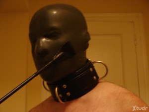 Xtudr - SW+A: I'm looking for a versatile or active submissive male, not too tall, young, with endurance, muscular or athletic - and who has...