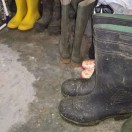 Xtudr - Boots: Straight life, with ...