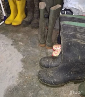 Xtudr - Boots: Vida hetero, con mucho vicio oculto