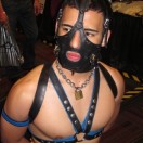 Xtudr - Mike_Master: Amo dominante,...