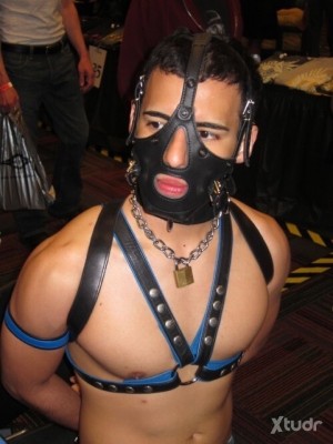 Xtudr - Mike_Master: Dominant man, send me fuck messages 🐽 and send tribute 💸