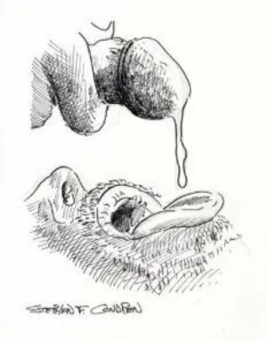 Xtudr - OpenMindBttm: Can’t host | NOT a ⬆️
Total throat toy — I swallow every drop. Into pits, 🦶 , 💋, WS (receiving), filthy jocks & whitie...
