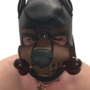 Xtudr - K9humano: Training of dogs ...