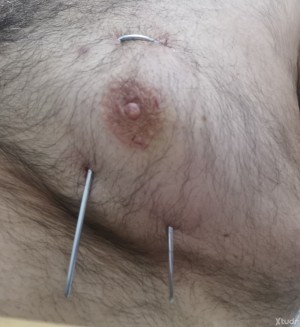Xtudr - Oso_masoquista: Mis pechos están preparados para ser perforados con agujas de diversas medidas, clavos largos, pinchos de acero y an...