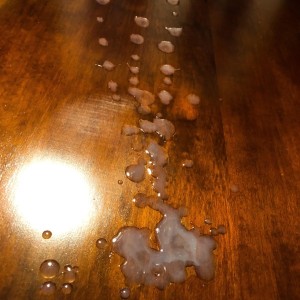 Xtudr - yofollobocas: I'm looking for domestic slaves to make them happy, who can endure swallowing cock. To get on their knees and open the...