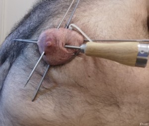 Xtudr - Oso_masoquista: Mis pechos están preparados para ser perforados con agujas de diversas medidas, clavos largos, pinchos de acero y an...