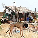 Xtudr - 2qsuosg2: Perro pendejo inf...