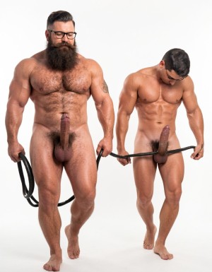 A highly detailed full-body photograph of both men walking completely naked in a bright white photography studio with perfect even lighting. Hipsterbarba, the 40-year-old dominant muscle bear master, walks confidently on the left: 180cm tall, 80kg with 8% body fat, powerful athletic physique, massive rounded pecs, defined six-pack, wide shoulders, thick vascular arms, powerful legs, wide V-shaped back, dense dark body hair covering chest, shoulders, abs, thick pubic bush and thighs. High fade undercut haircut, very thick long Bandholz beard reaching almost to his chest, thick curled handlebar mustache with spiral ends, black-rimmed glasses, small tattoo on right arm saying “hipsterbarba”. Thick cock with partial foreskin and visible pink glans, heavy low-hanging balls. He walks forward with dominant posture, chest out, looking straight ahead, gripping a thick black leather leash tightly in his right hand and pulling it firmly.

Slightly behind him and being led, walks Anil, the 25-year-old extreme bodybuilder slave: 175cm tall, 80kg with 6% body fat in peak competition condition, massive 127cm chest with huge thick pecs, 47cm vascular peaked arms, deep shredded eight-pack, tiny 60cm waist with extreme V-taper, wide flaring lats, high round bubbly 90cm glutes, 70cm massive shredded quads with razor sharp separation. Skin bronzed, paper-thin and shiny, completely smooth and hairless from the neck down. A thick metal cock ring is tightly fastened at the base of his thick veiny cock, and the black leather leash is clipped to that cock ring, pulled taut and stretching the skin at the base of his dick as he is being walked. Large smooth shaved balls hang below the ring. Anil walks with head bowed, eyes down, in a clear submissive posture, his powerful body moving obediently behind his master.

Both men fully naked head to toe, realistic skin texture, extreme muscle and hair details, professional studio photography.