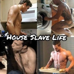 Xtudr - ACTIVOGIJON: DOMINANT MAN IN ASTURIAS.
I WANT submissive men, servants, whores, ... BUT ONLY FOR REAL SERVICE, AS PROPERTY, MAKE IT ...