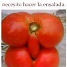 Xtudr - GranOsoversatil: He pasado ...
