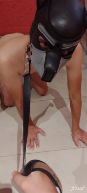 Xtudr - Sumisoo23: I was born to serve, obey and please men. I'm a young kid, I have memories that since I was a child I felt inclined towar...