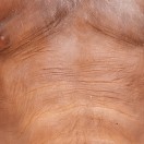 Xtudr - Perro57: Perro jilipoiias s...