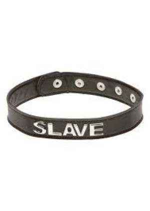 Xtudr - Master&Comander: I think there are many people on this website who don't get it. You're all submissives. There's no submissive man. ...