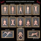 Xtudr - elender: Sumiso natural par...