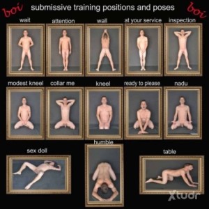 Xtudr - elender: Submissive compliant seeks its match