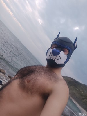 Xtudr - PupRogue: Puppy nudista que le da un poco a todo 