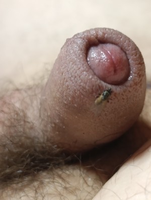 Xtudr - Navinlelbon: Estoy solo, y necesito a alguien en mi vida. 
Visitad  mi XVideo https://www.xvideos.com/profiles/avinlelbon