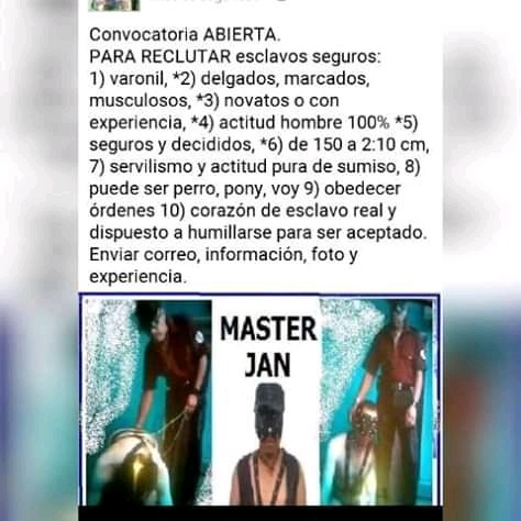 Xtudr - Machos para putitas Busco perros de CD DE MÉXICO, para entrenar y explotar