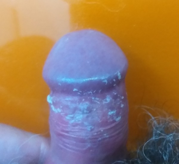 Xtudr - scat, pedos, pis, lapos, y mucho vicio y desfase Algun cerdo de verdad por Donosti?
Yo tengo la merienda ya preparada. Quien quiere?