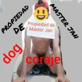 Xtudr - amantes del dogtraining Solo perros, seguros de CD México para entrenar 🧐😡
Tenerte 4 como el animal que eres, explotarte a MI PLACER 😡