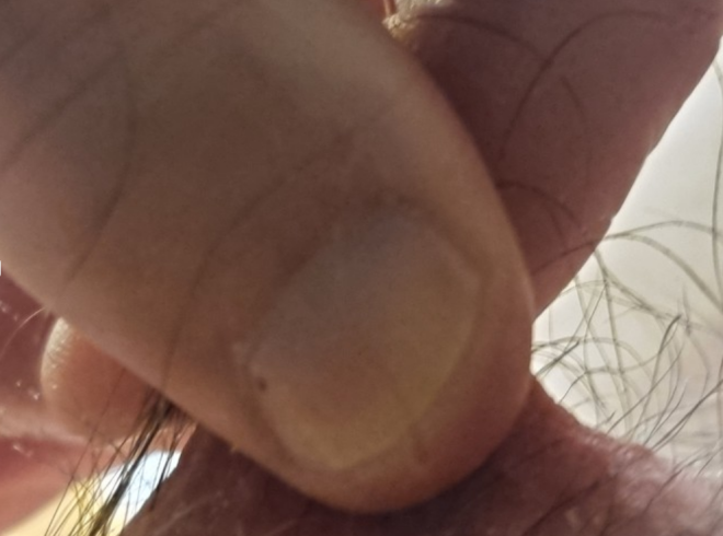 Xtudr - Pezones maleables, acrescentes y torturables Rutina habitual para no perder la costumbre de estimular nuestra condición de zorras a través de los pezones