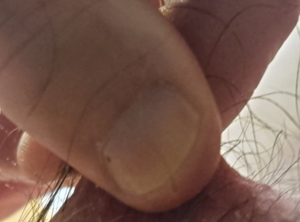 Xtudr - Pezones maleables, acrescentes y torturables Rutina habitual para no perder la costumbre de estimular nuestra condición de zorras a través de los pezones