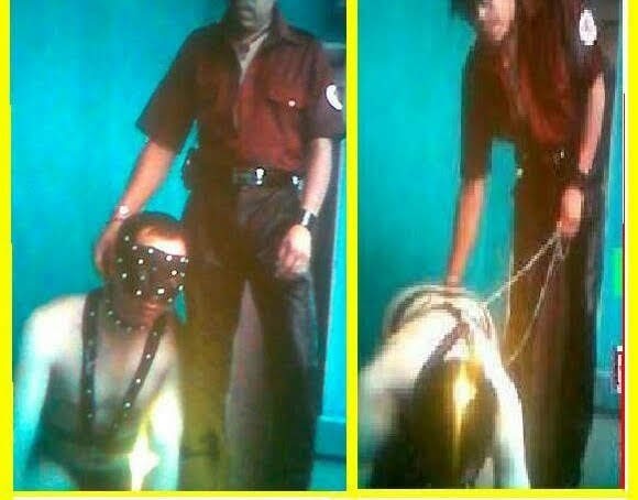 Xtudr - SOY Esclavo sin Amo, CDMX Y EDOMEX Busco esclavos atlético, músculos VARONIL para animales de uso, ser objeto y servir en todo 😈
OTE CDMX SEGURO