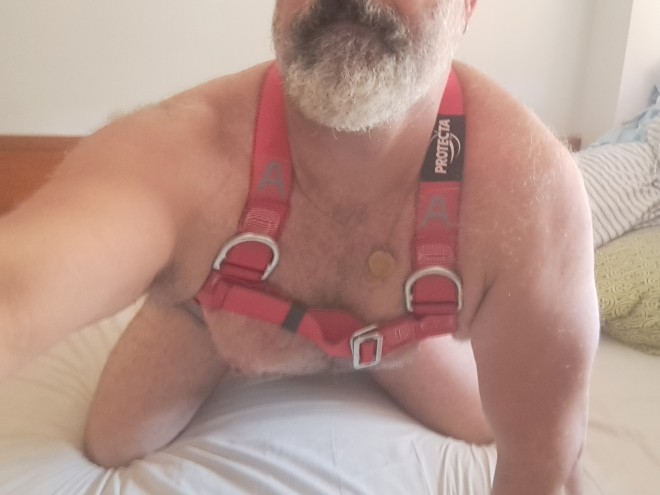Xtudr - Orgia muscles bears de la construcción Con ganas de cuadrilla y encargado de obra al que satisfacer....