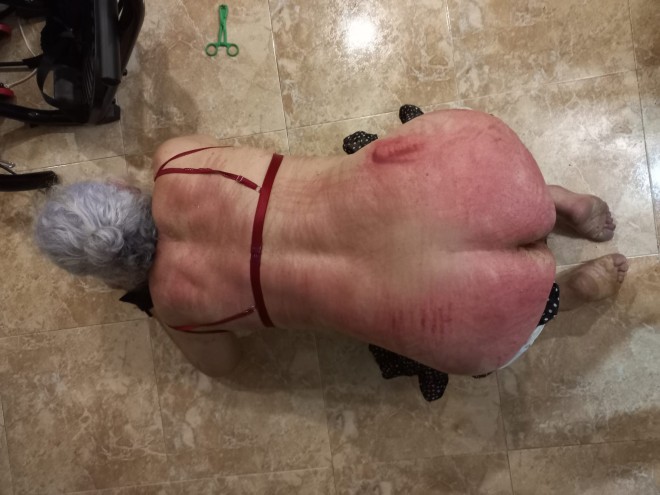 Xtudr - esclavos masokas barcelona esclavo con pocos limites material y sitio en Horta busco a Macho kabron que me use y torture ahora para su placer; recibo de rodillas, cinturon de castidad, pinzas en pezones y collar de perra Señor.