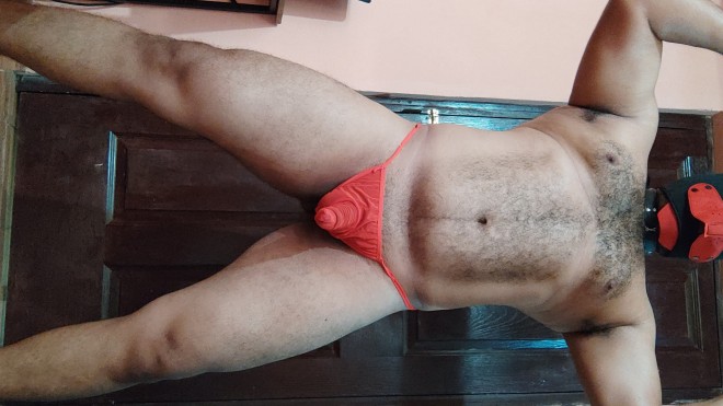 Xtudr - amantes del dogtraining 