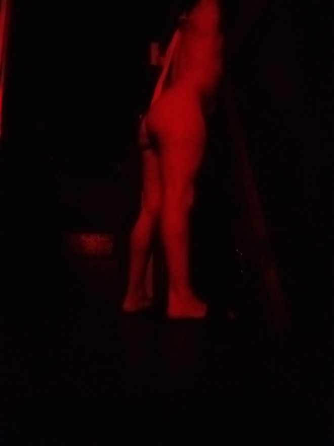 Xtudr - Nenazas Domesticas Soy perrita domestica para ayudar a Amo en sus tareas ,hoy lunes en Barcelona.