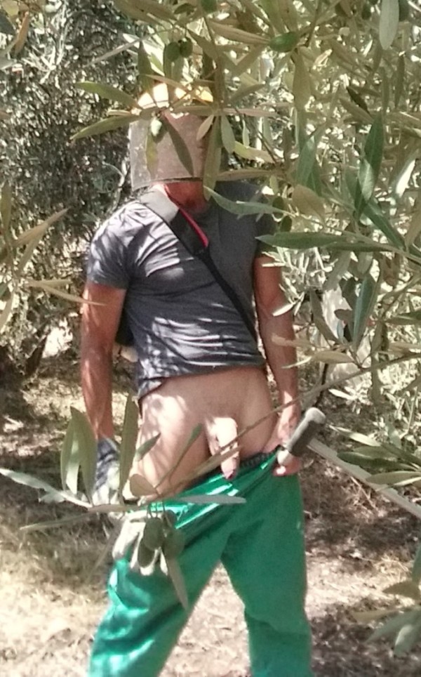 Xtudr - Alojamiento a viajeros Alojo a esclavo cerca de Valencia. 