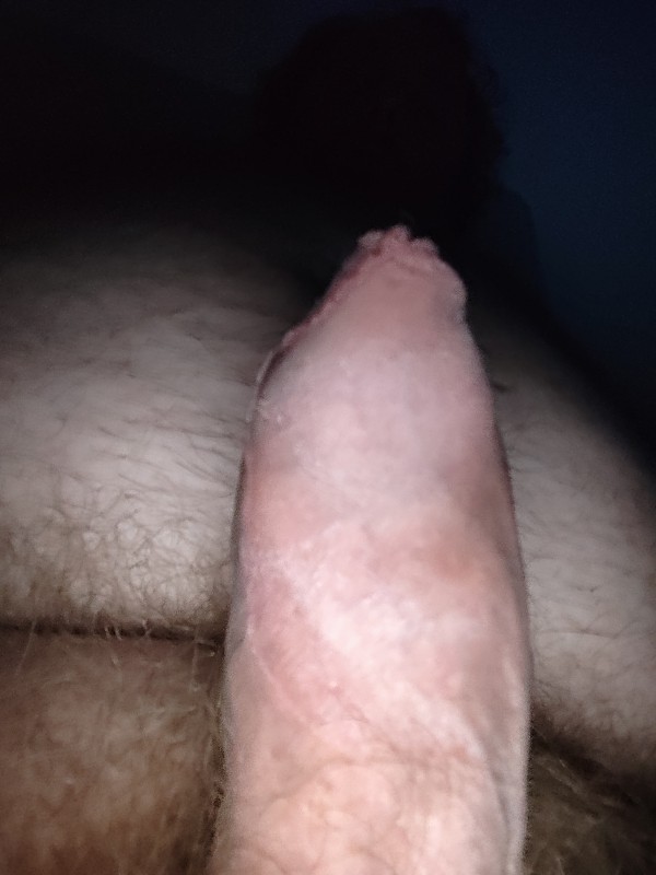 Xtudr - Sumisos en Castidad Por favor que alguien me aplique ya castidad