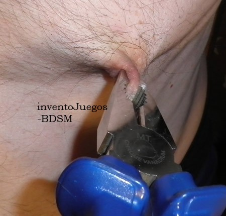 Xtudr - Amos maltratadores y duros Y los días que estoy MÁS CABRÓN trabajo los pezones con eso que hay en la imagen que retorciéndolo con lentitud provoca la caída de gruesos lagrimones en la perra que le toca,,, por supuesto bien atado a una silla...