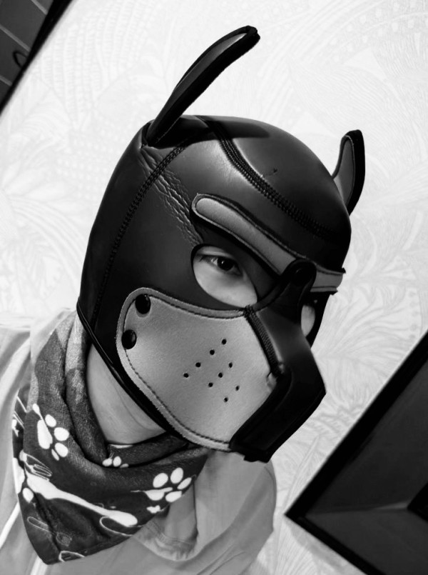 Xtudr - amantes del dogtraining Adiestrador?