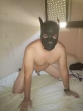 Xtudr - EL AMO DECIDE QUIEN TE FOLLA busco amo ke me pusiera lush y cam pa strimear i castidad yo con sitio y disponiblidad 100%